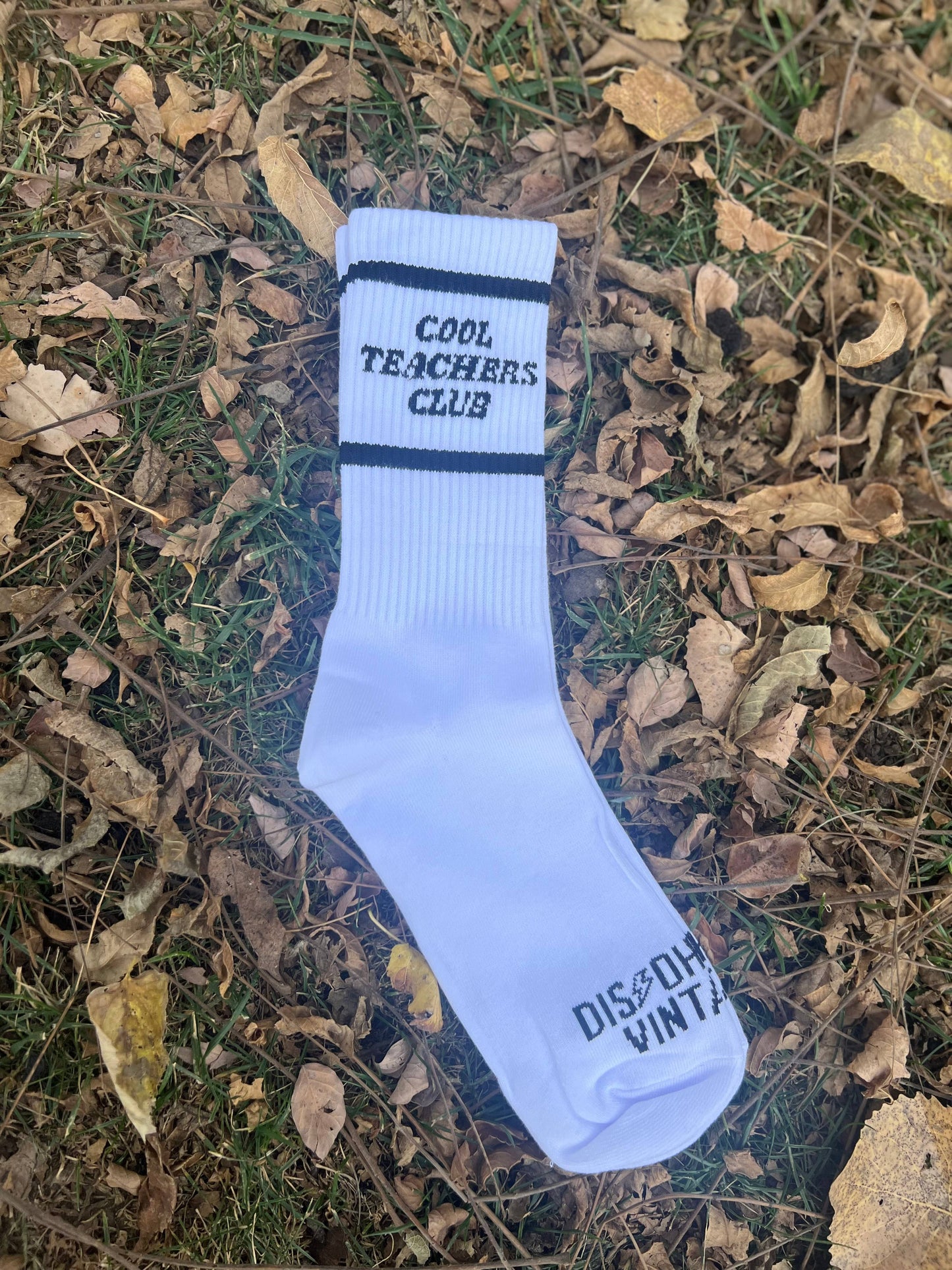 Cool teachers club socks