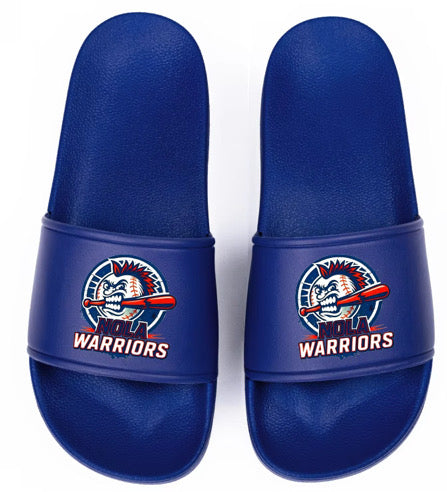 Warriors slides