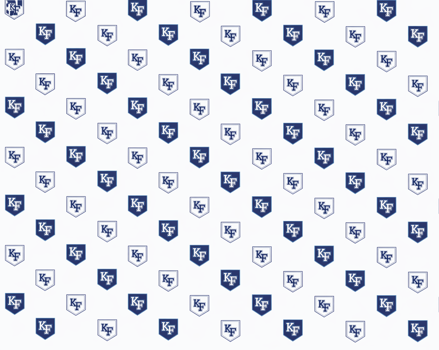 Men’s micro shield print polo