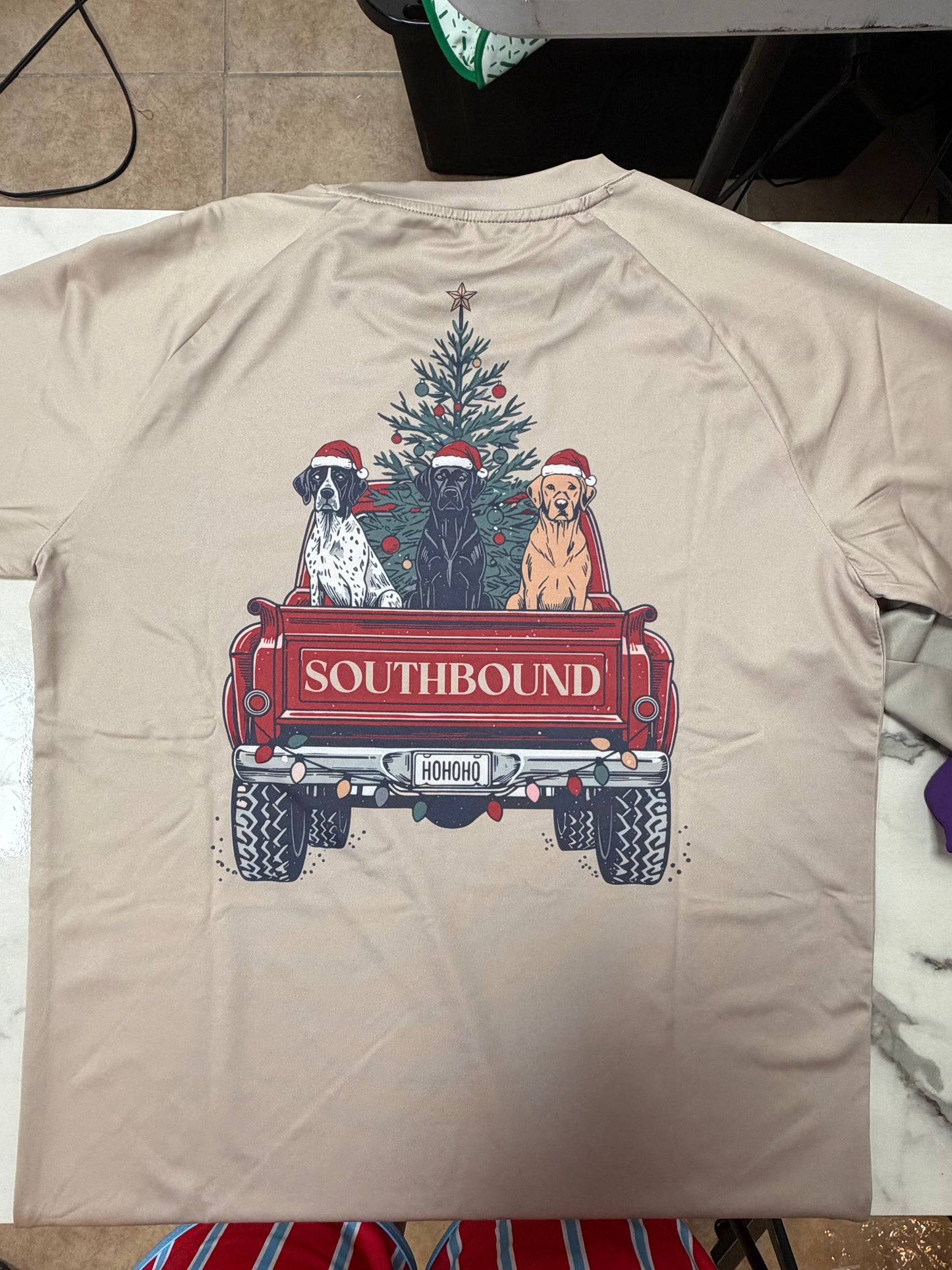 Southbound Christmas dog truck